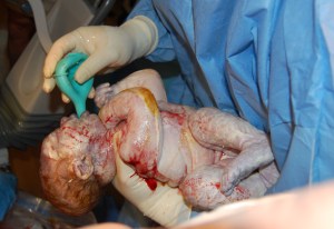 Her very first portrait.  Isn't she the most beautiful baby?!