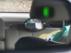 Her nose in a book, captured in Nana T's driveway.